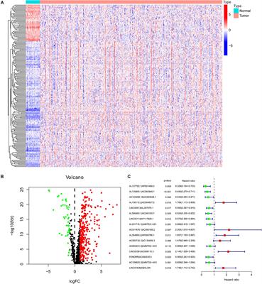 A Novel Signature Constructed by Immune-Related LncRNA Predicts the Immune Landscape of Colorectal Cancer